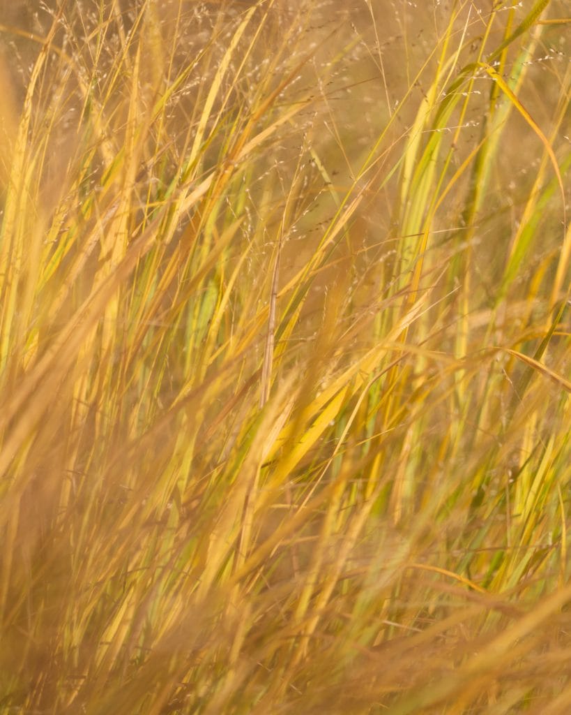 Bend Real Estate Photographer Wasim Muklashy Real Estate Photographer Bend High Desert Real Estate Photographer Oregon Real Estate Photographer Portland Real Estate Photographer Real Estate Photography Bend Real Estate Photography Pricing Contact Bend Real Estate Photographer Wasim Airbnb Photography Bend Airbnb Photographer Bend