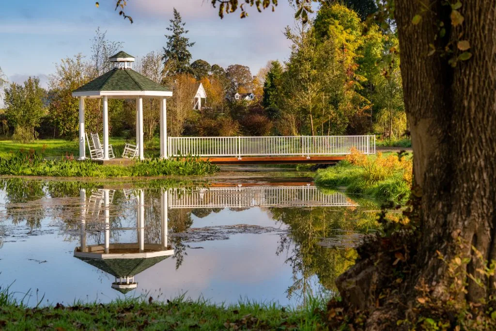 White gazebo mirrored in a still garden pond