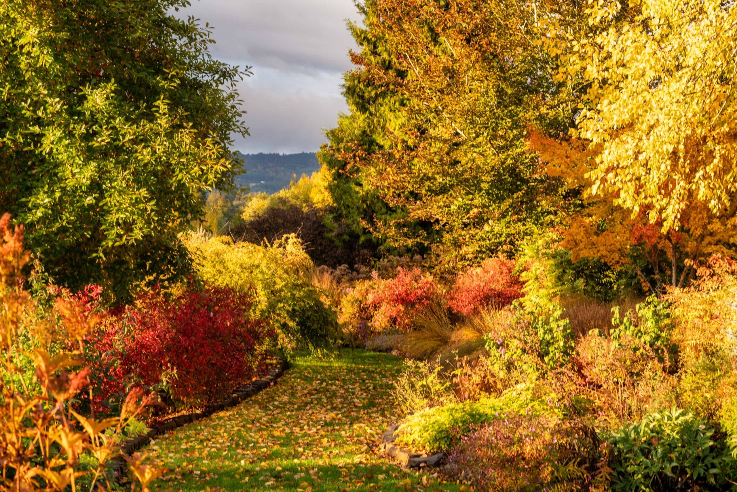 006 Oakwood Gardens Fall Color Garden Photography by Wasim Muklashy 2021 3600px web