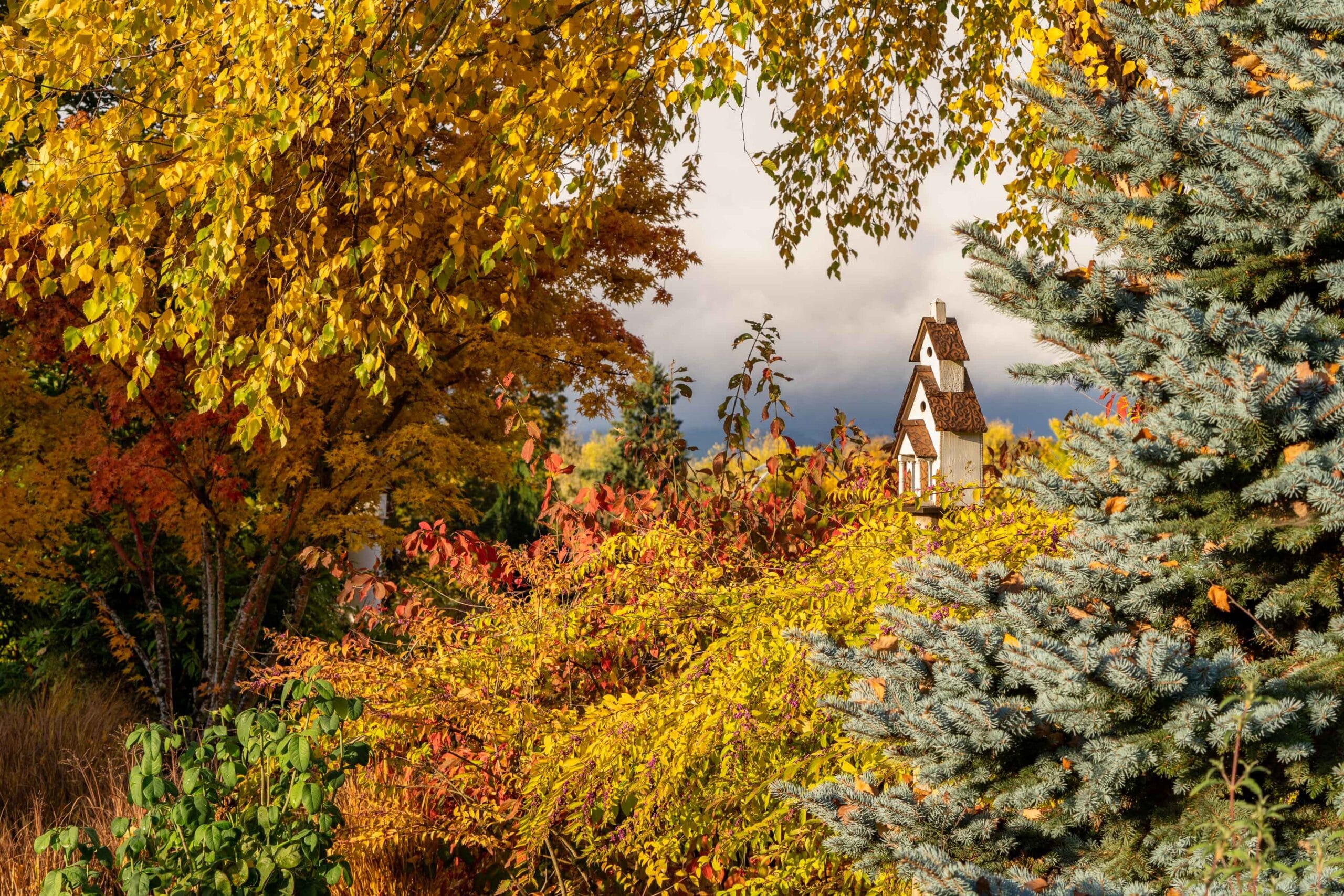 012 Oakwood Gardens Fall Color Garden Photography by Wasim Muklashy 2021 3600px web