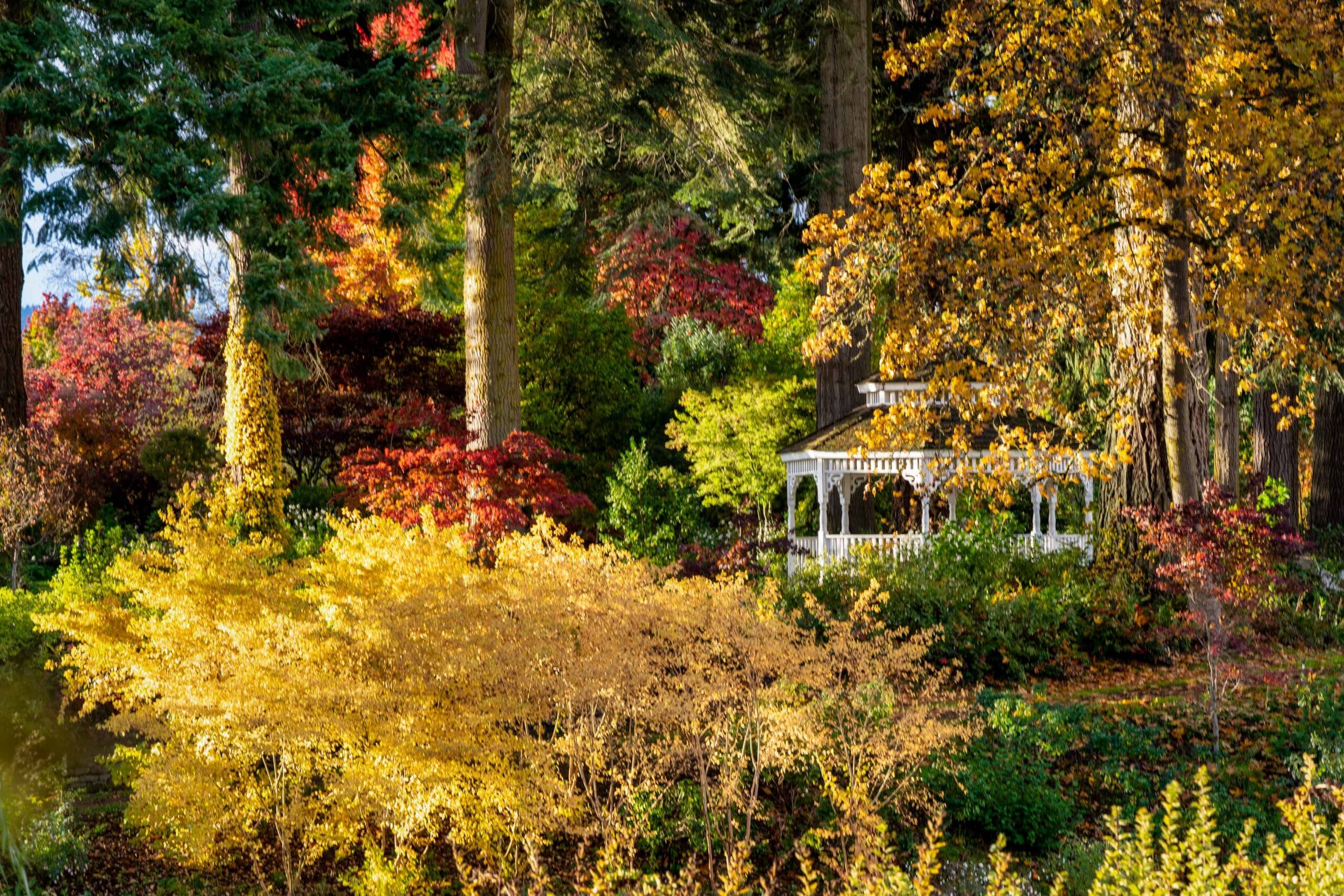 016 Oakwood Gardens Fall Color Garden Photography by Wasim Muklashy 2021 3600px web