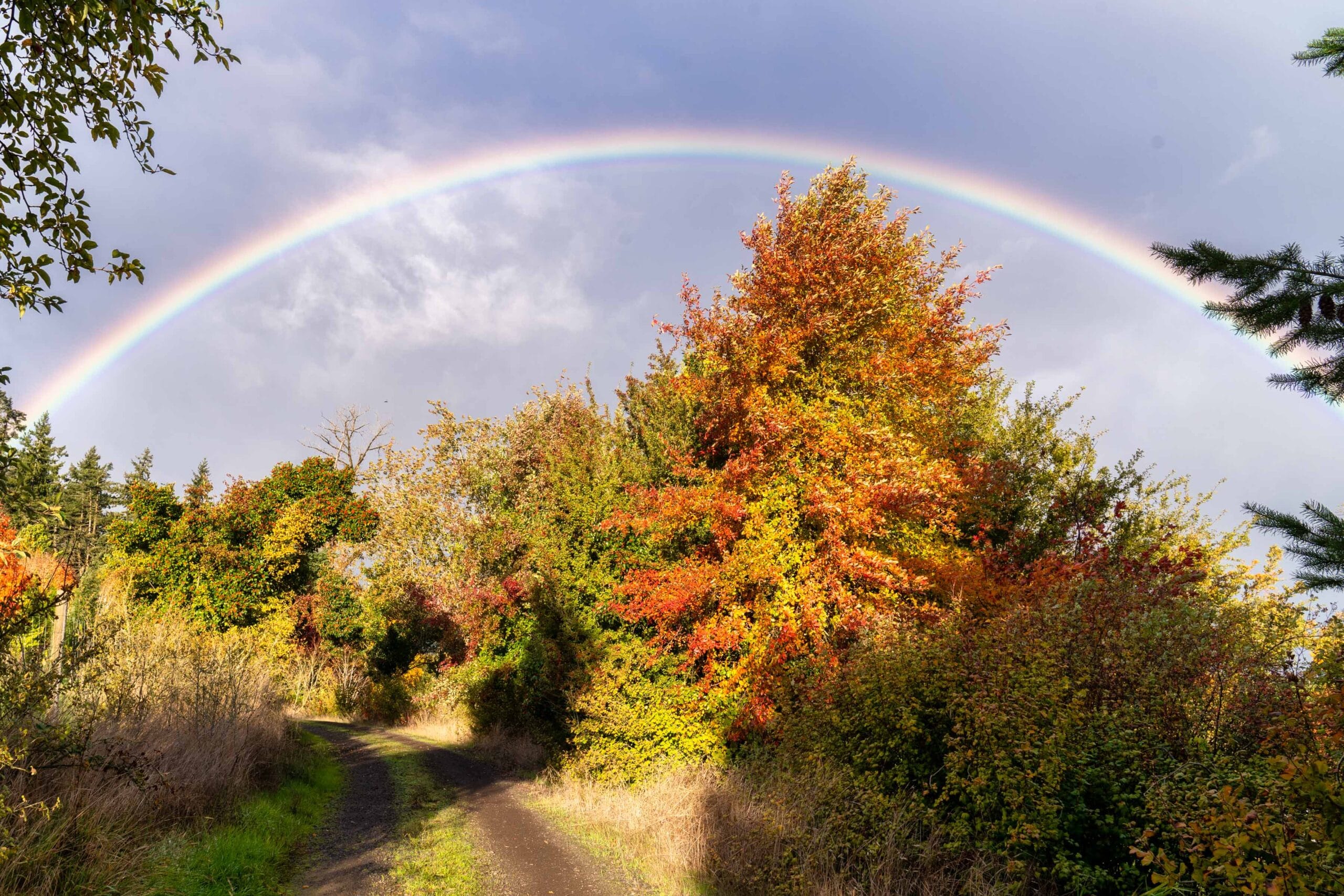 017 Oakwood Gardens Fall Color Garden Photography by Wasim Muklashy 2021 3600px web