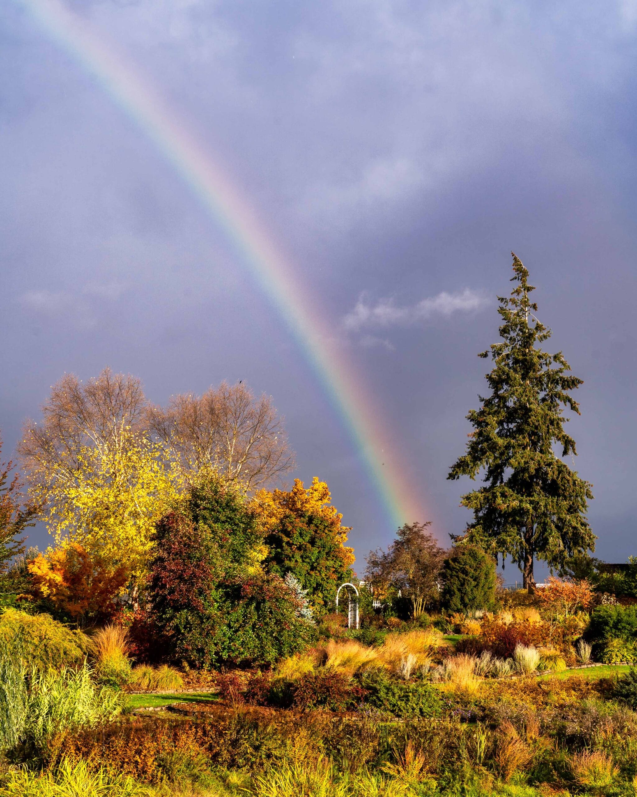 023 Oakwood Gardens Fall Color Garden Photography by Wasim Muklashy 2021 3600px web