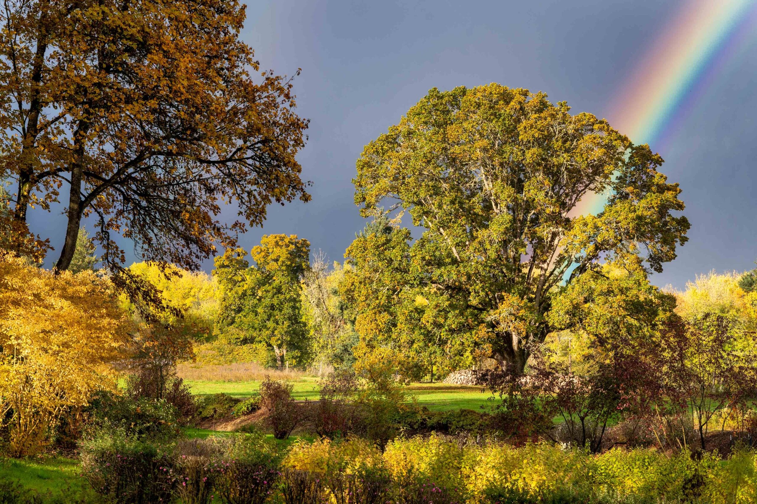 026 Oakwood Gardens Fall Color Garden Photography by Wasim Muklashy 2021 3600px web