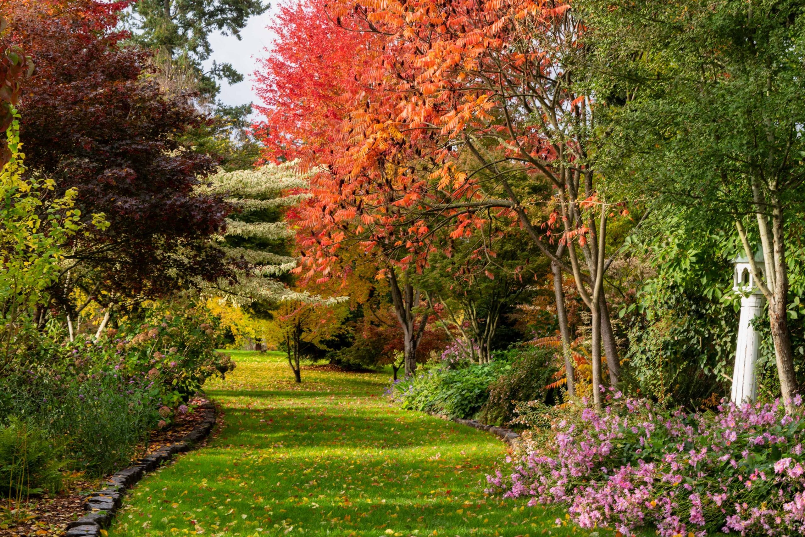 029 Oakwood Gardens Fall Color Garden Photography by Wasim Muklashy 2021 3600px web