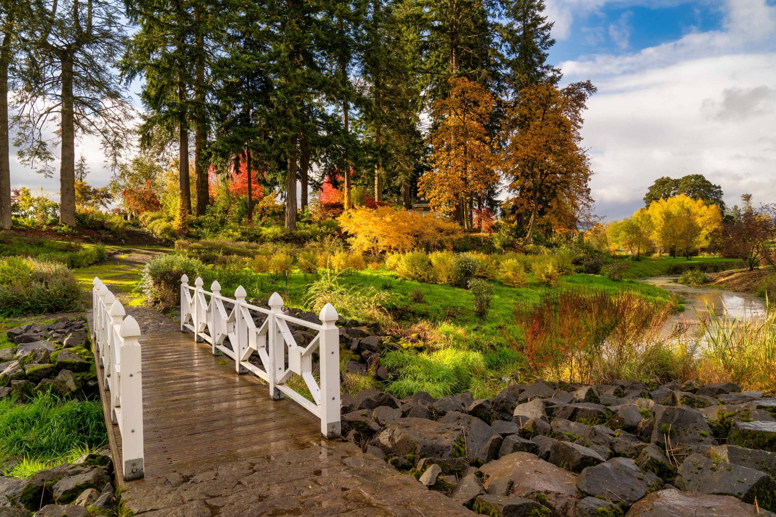 047 Oakwood Gardens Fall Color Garden Photography by Wasim Muklashy 2021 3600px web