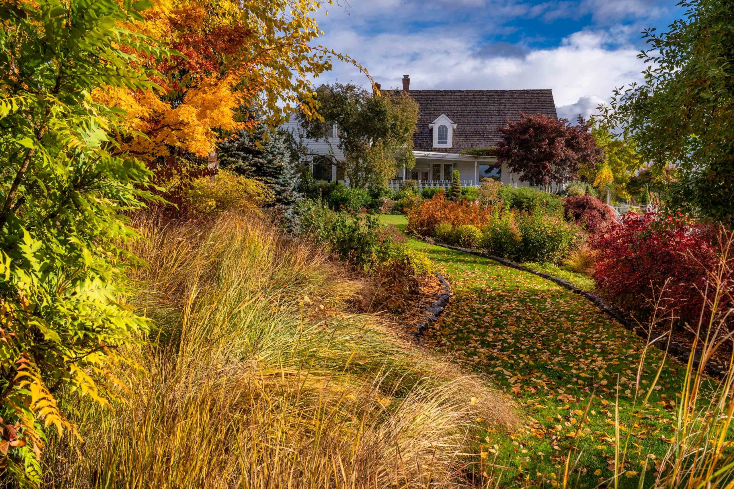 049 Oakwood Gardens Fall Color Garden Photography by Wasim Muklashy 2021 3600px web