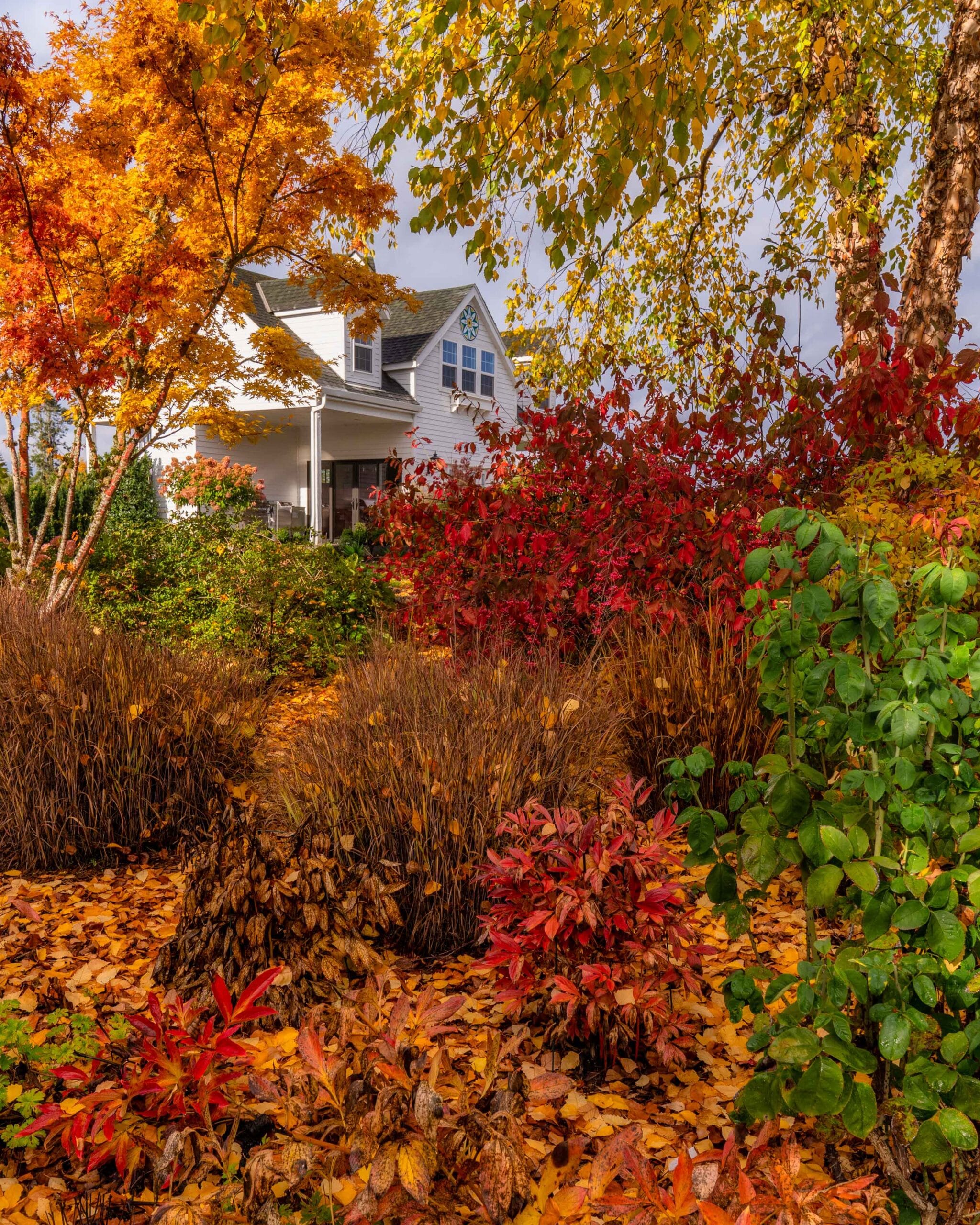 052 Oakwood Gardens Fall Color Garden Photography by Wasim Muklashy 2021 3600px web
